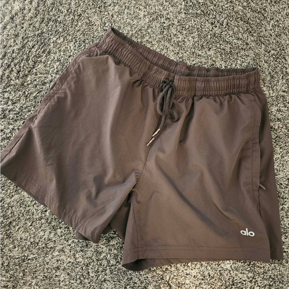 ALO Yoga  Brown Athletic Drawstring Shorts - Deep Brown Size Small